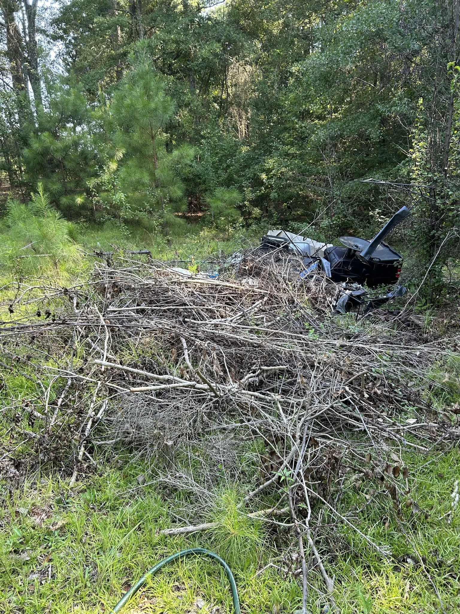 A pile of cut branches and brush at the edge of the woods