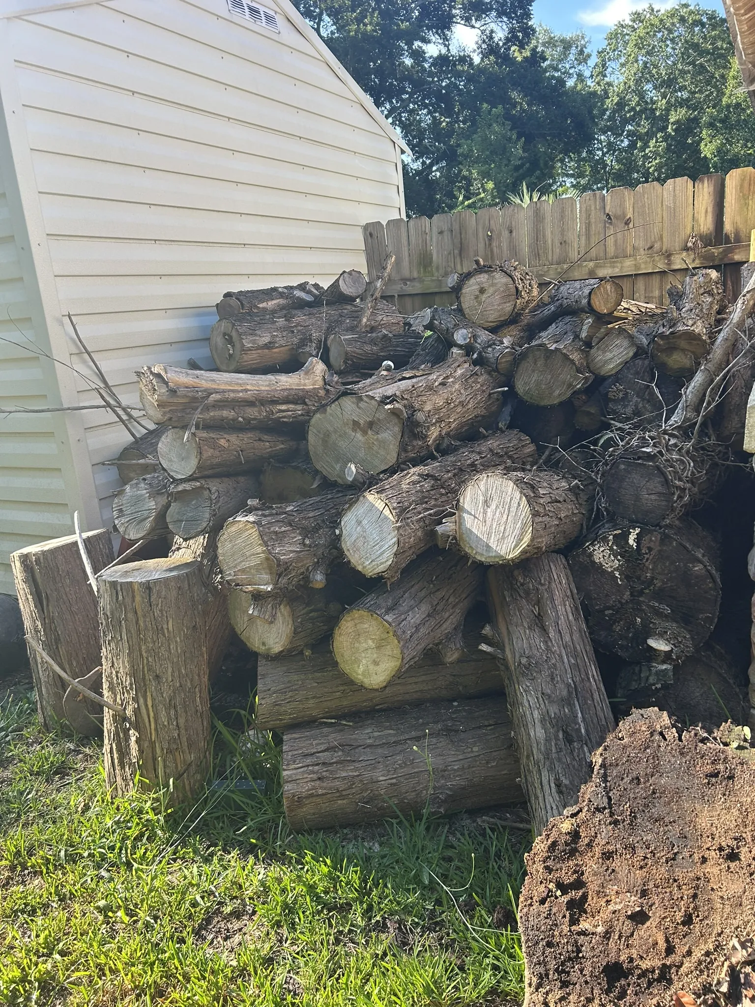 Cut logs stacked beside a shed and fence