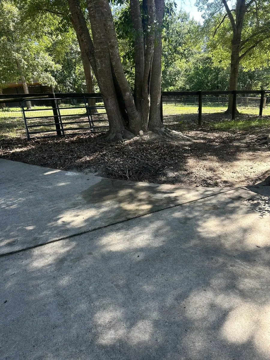 The same driveway cleared after the pickup