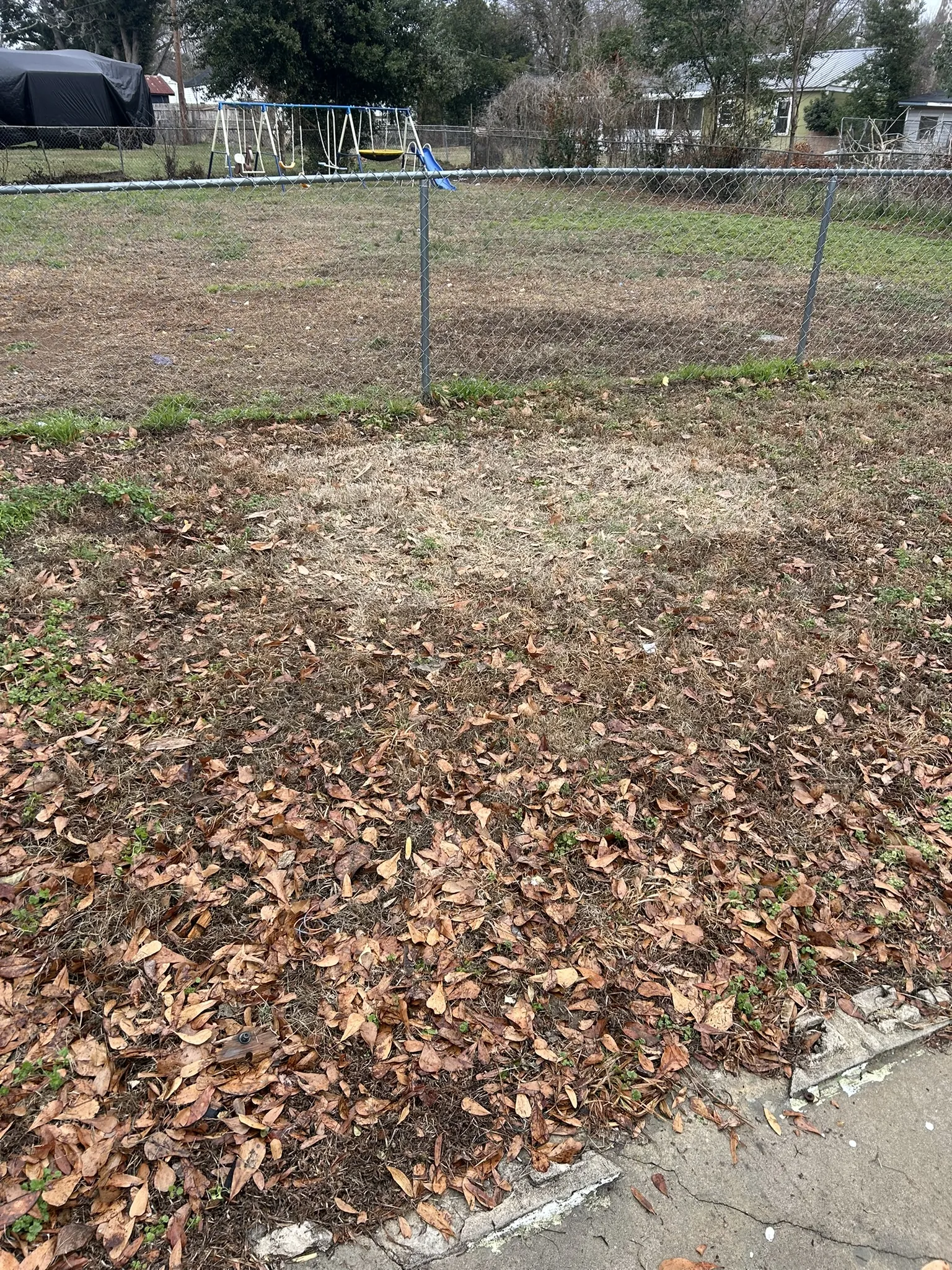 The same fenced yard cleared after the pickup